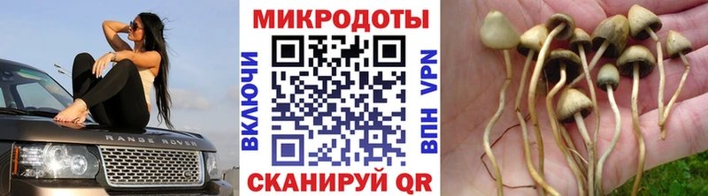 OMG как войти  Суровикино  Псилоцибиновые грибы MAGIC MUSHROOMS 