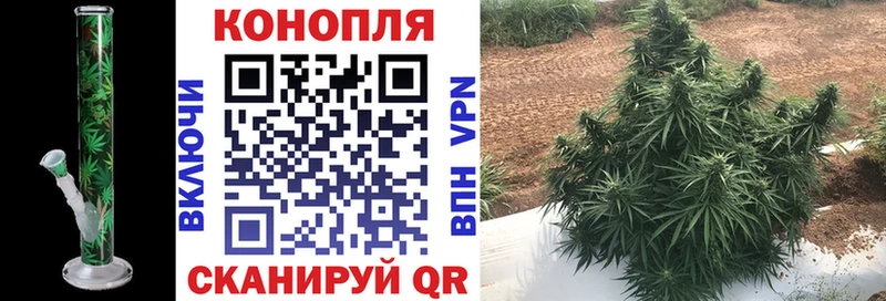 Бошки Шишки Bruce Banner  MEGA сайт  Суровикино 